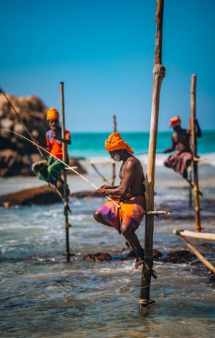 Stilt Fishing Observation
