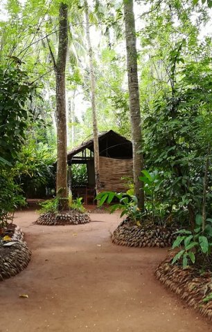 Nature & Herb Garden Walks